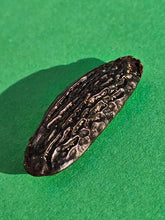 Charger l'image dans la galerie, Fèves de Tonka d'Amazonie - Vanissa