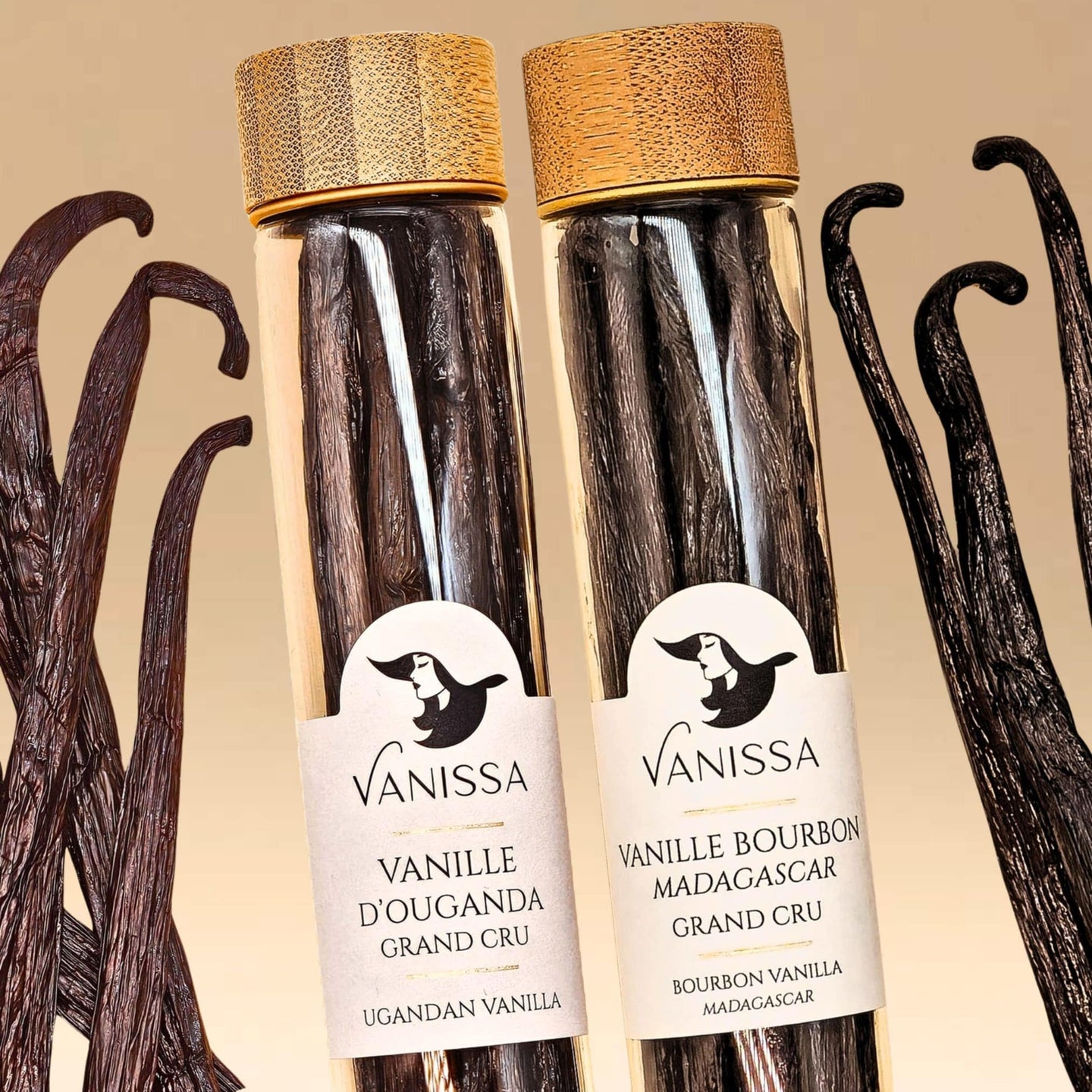 Vanille-Duo Madagaskar + Uganda (2 zum Preis von 1)
